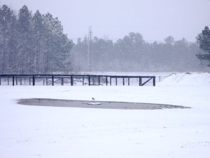 winter pond frozen